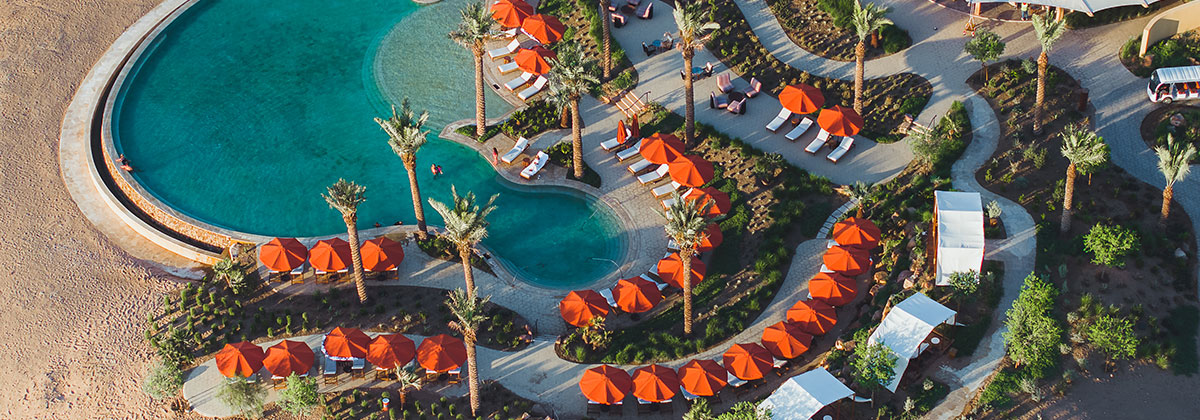 Image for The Land of Firsts: A Beautiful Honeymoon Destination